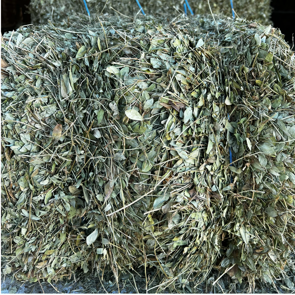 Peanut Hay