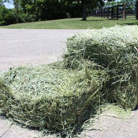 Alfalfa & Mixed Hay